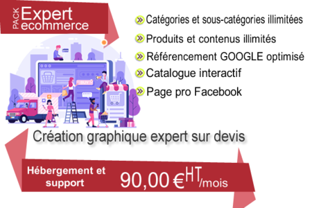 Cration boutique ecommerce expert - Agence Web - ISDI